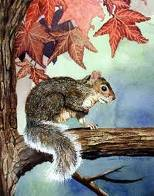 fall squirrel