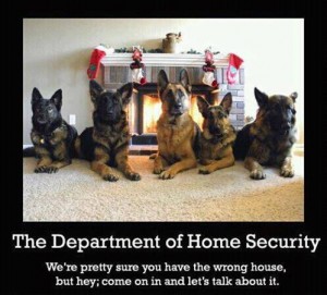 homeland security