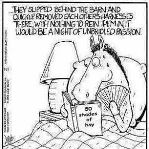 50 shades of hay