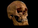 richard iii skull