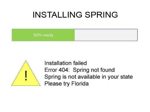 spring install