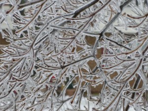 glass twigs