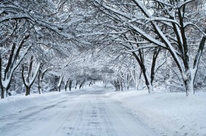 Snow_Tunnel