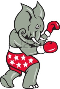 elephant boxing shorts