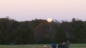 Rising Moon over the Tree Line